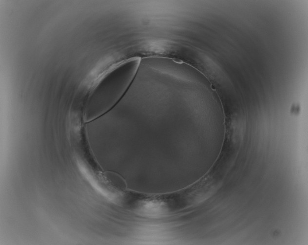 X0000113610500200909251146