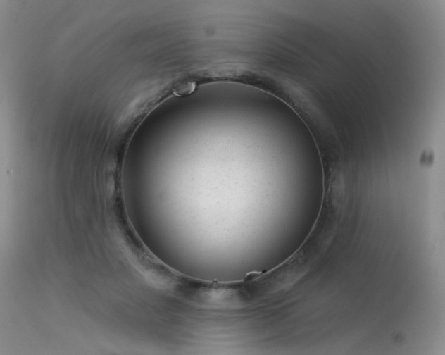 X0000113610501200909251146