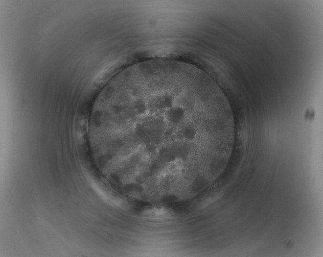 X0000113610503200909251146