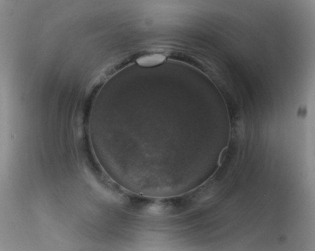 X0000113610504200909251146