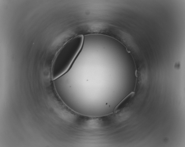 X0000113610505200909251146