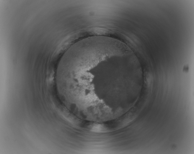 X0000113610507200909251146