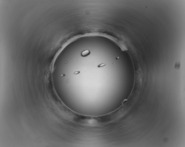 X0000113610509200909251146