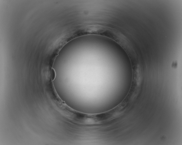 X0000113610510200909251146