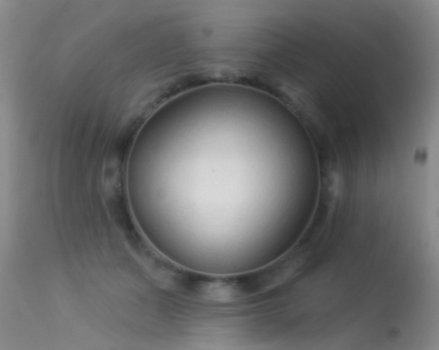 X0000113610511200909251146