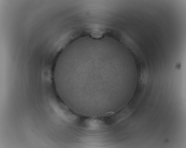 X0000113610512200909251146