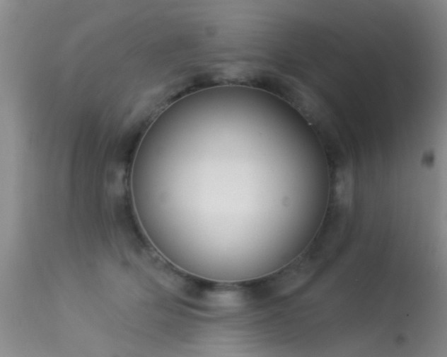 X0000113610514200909251145