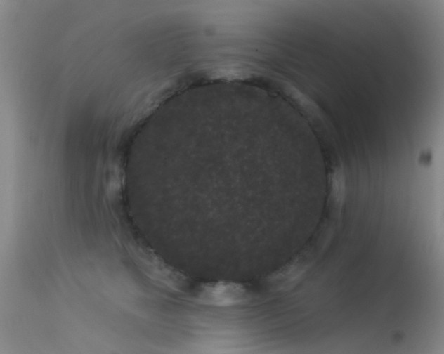 X0000113610517200909251145