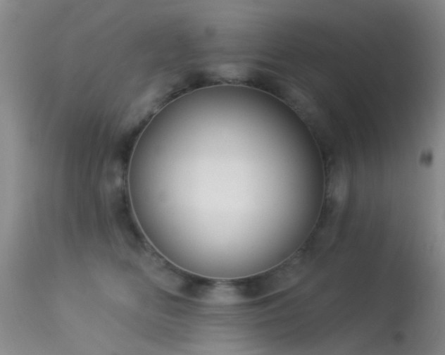 X0000113610518200909251145