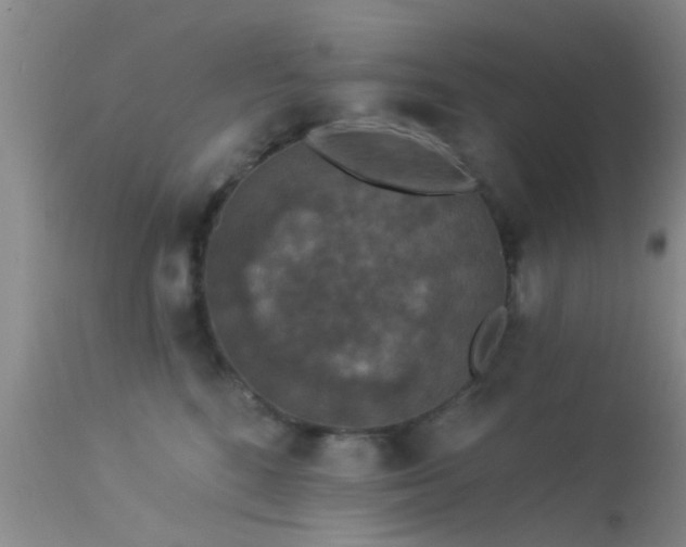 X0000113610520200909251145