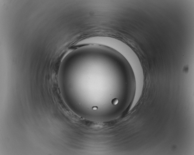 X0000113610521200909251145