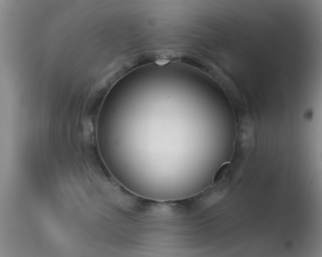 X0000113610523200909251145