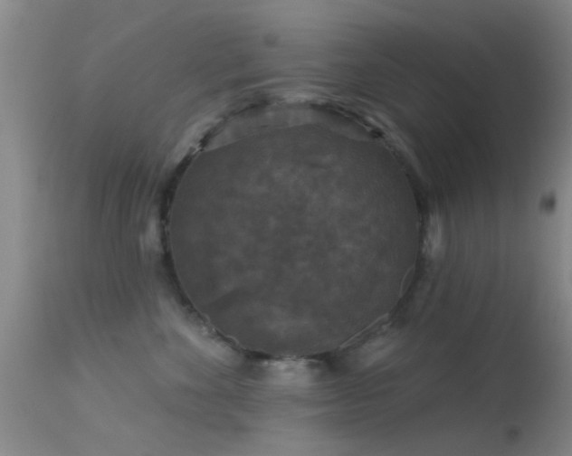 X0000113610524200909251145