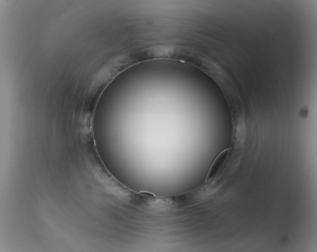 X0000113610525200909251145