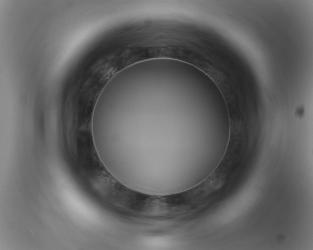 X0000113610526200909251145