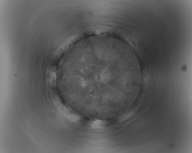 X0000113610527200909251145