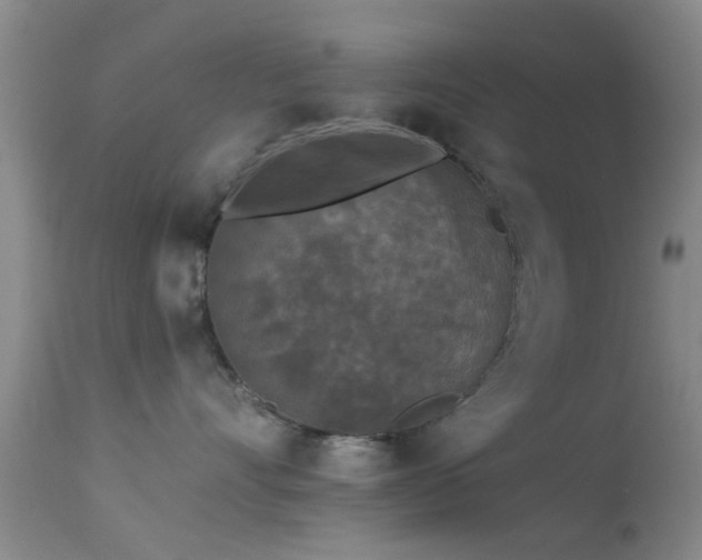 X0000113610528200909251145