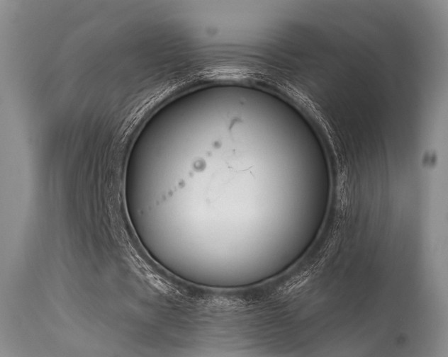 X0000113610529200909251144