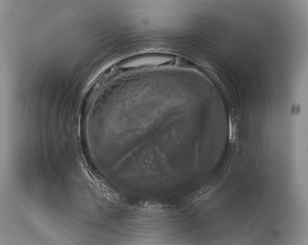 X0000113610531200909251144