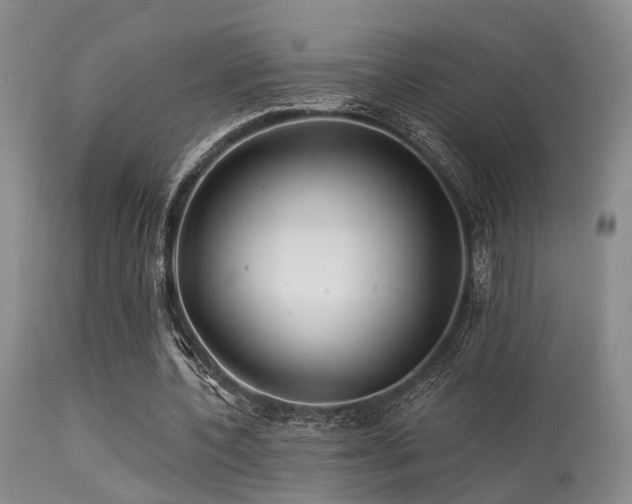 X0000113610532200909251144