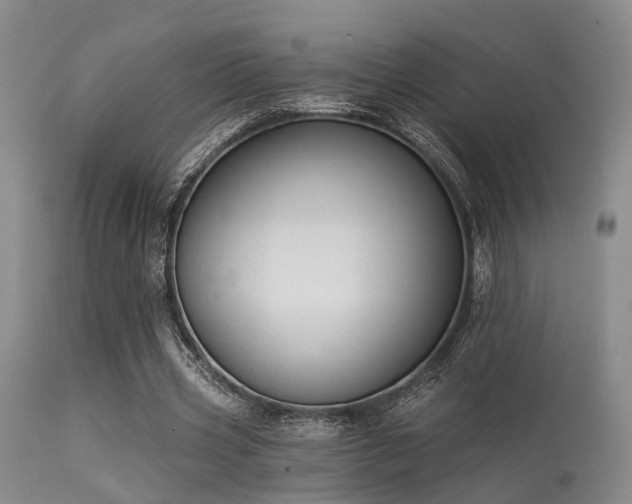 X0000113610533200909251144