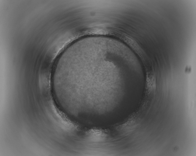 X0000113610534200909251144