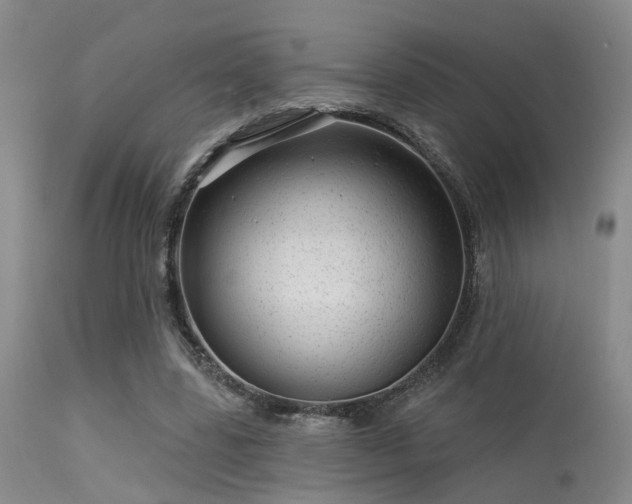 X0000113610539200909251144