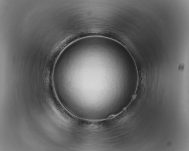 X0000113610542200909251144