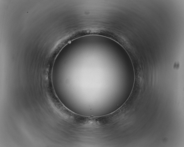 X0000113610543200909251144