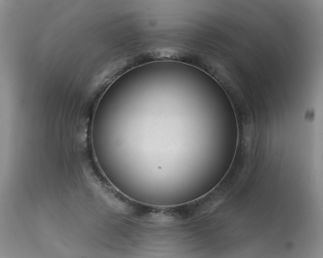 X0000113610545200909251145