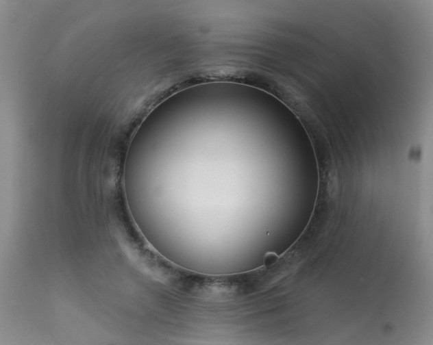 X0000113610546200909251145