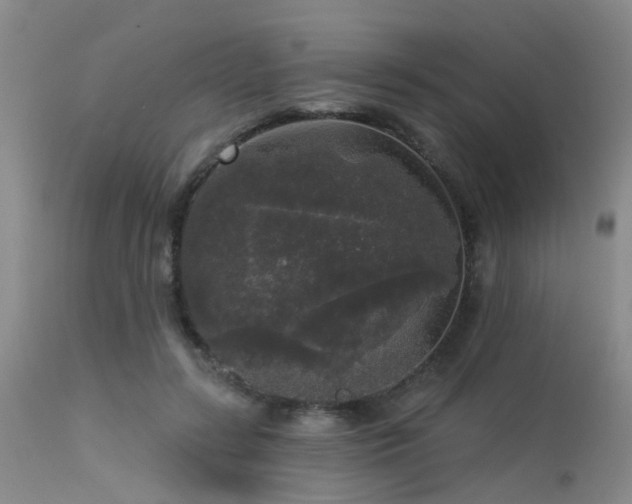 X0000113610547200909251145