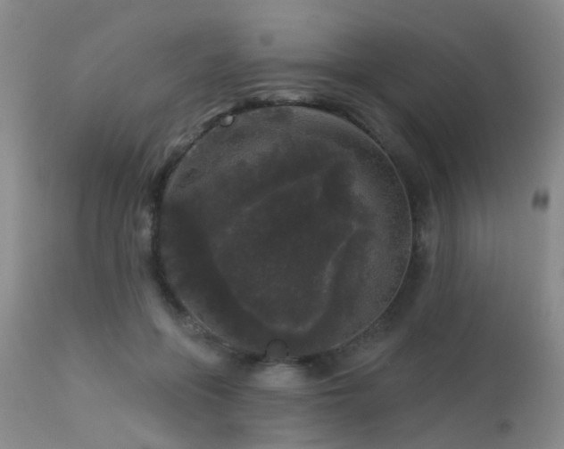 X0000113610551200909251145