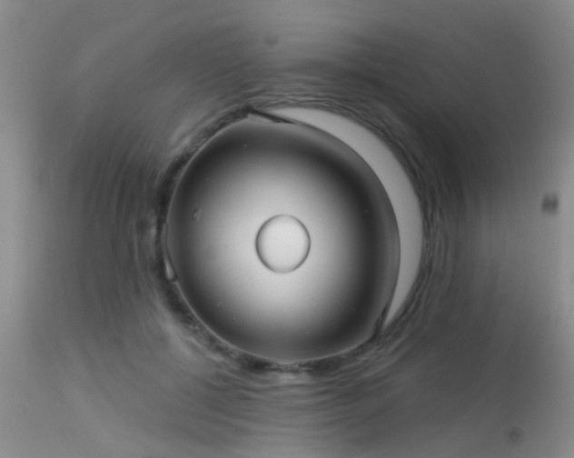 X0000113610552200909251145