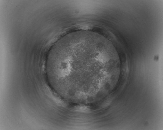 X0000113610553200909251145