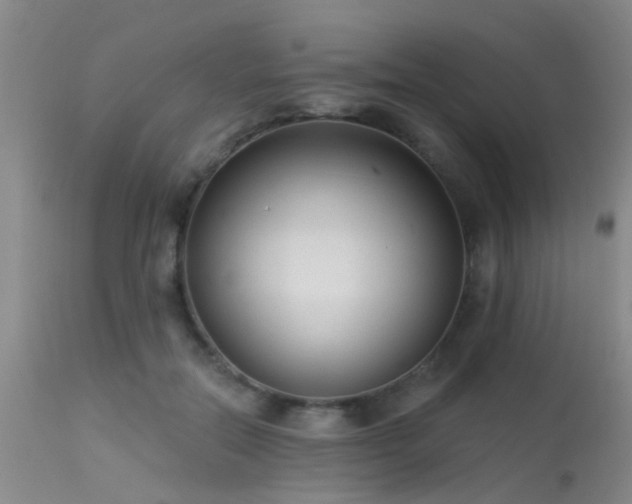 X0000113610554200909251145