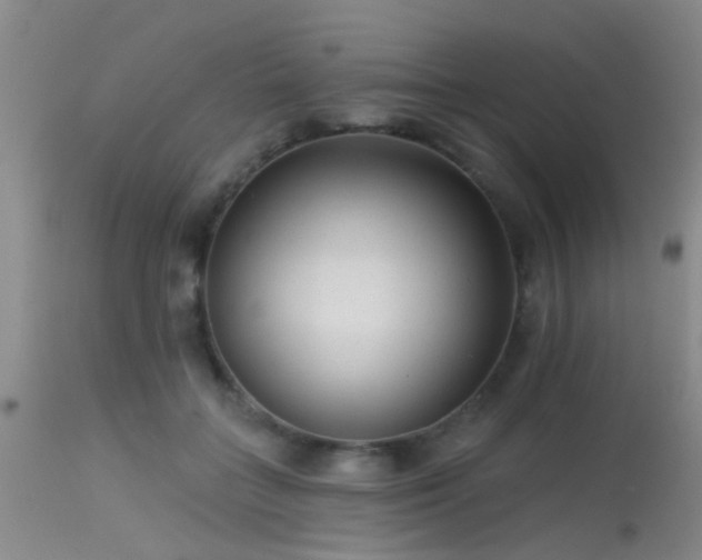 X0000113610555200909251145