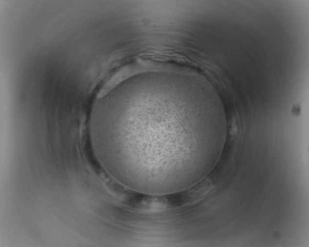 X0000113610559200909251145