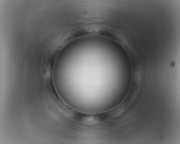 X0000113610561200909251145