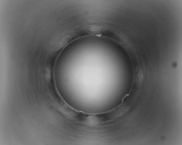 X0000113610562200909251145