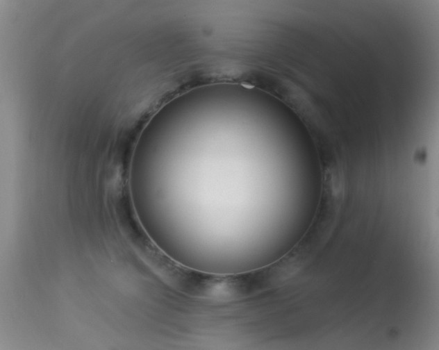 X0000113610564200909251145