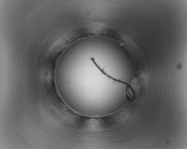 X0000113610566200909251145