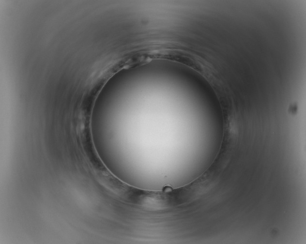 X0000113610567200909251145