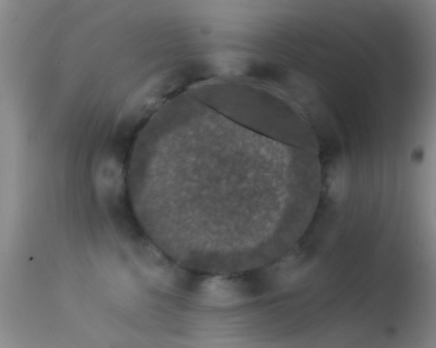 X0000113610568200909251145