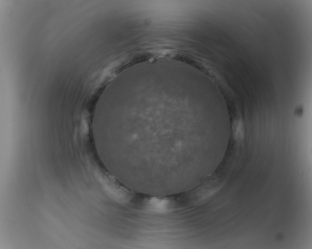 X0000113610570200909251145