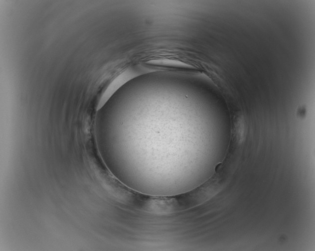 X0000113610571200909251145