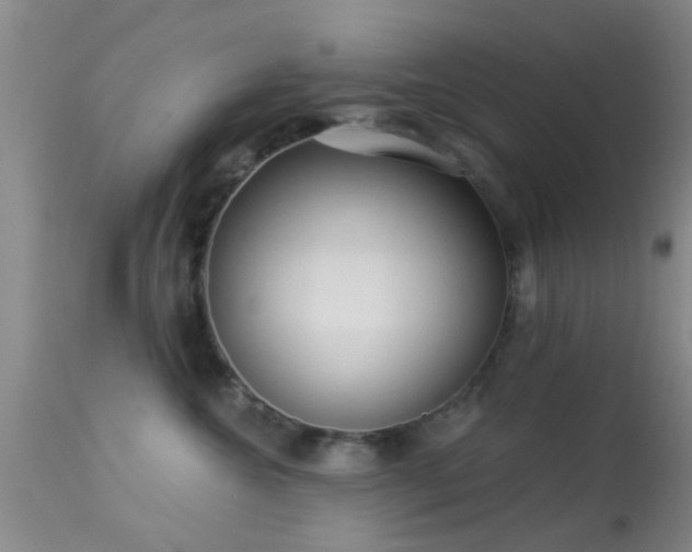 X0000113610572200909251145