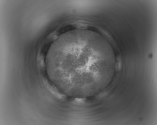 X0000113610573200909251145