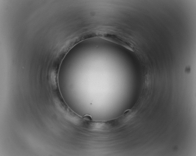 X0000113610575200909251145