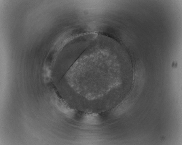 X0000113610576200909251145